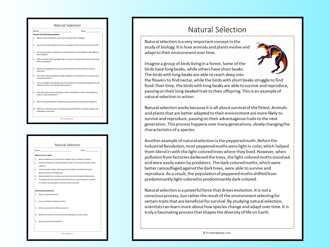 Natural Selection Reading Comprehension Passage Printable Worksheet Teaching Resources