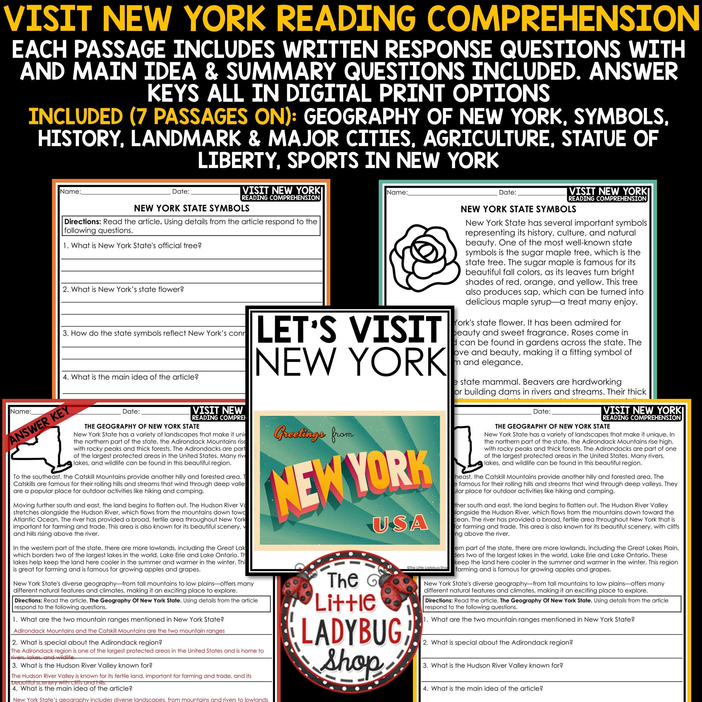 New York State Symbols Reading Passages 3rd 4th Grade The Little Ladybug Shop