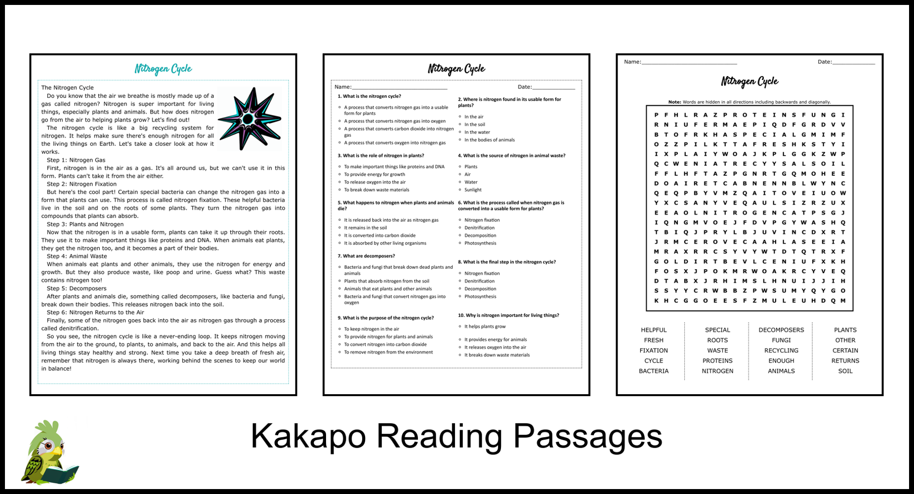 Nitrogen Cycle Reading Comprehension And Word Search Teaching Resources
