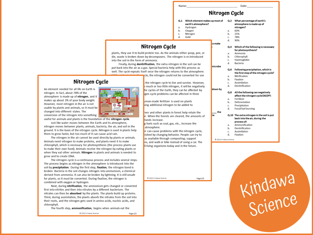 Nitrogen Cycle Reading Comprehension Passage And Questions PDF Teaching Resources