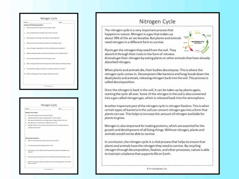 Nitrogen Cycle Reading Comprehension Passage Printable Worksheet Teaching Resources