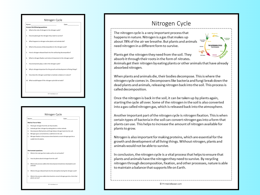 Nitrogen Cycle Reading Comprehension Passage Printable Worksheet Teaching Resources