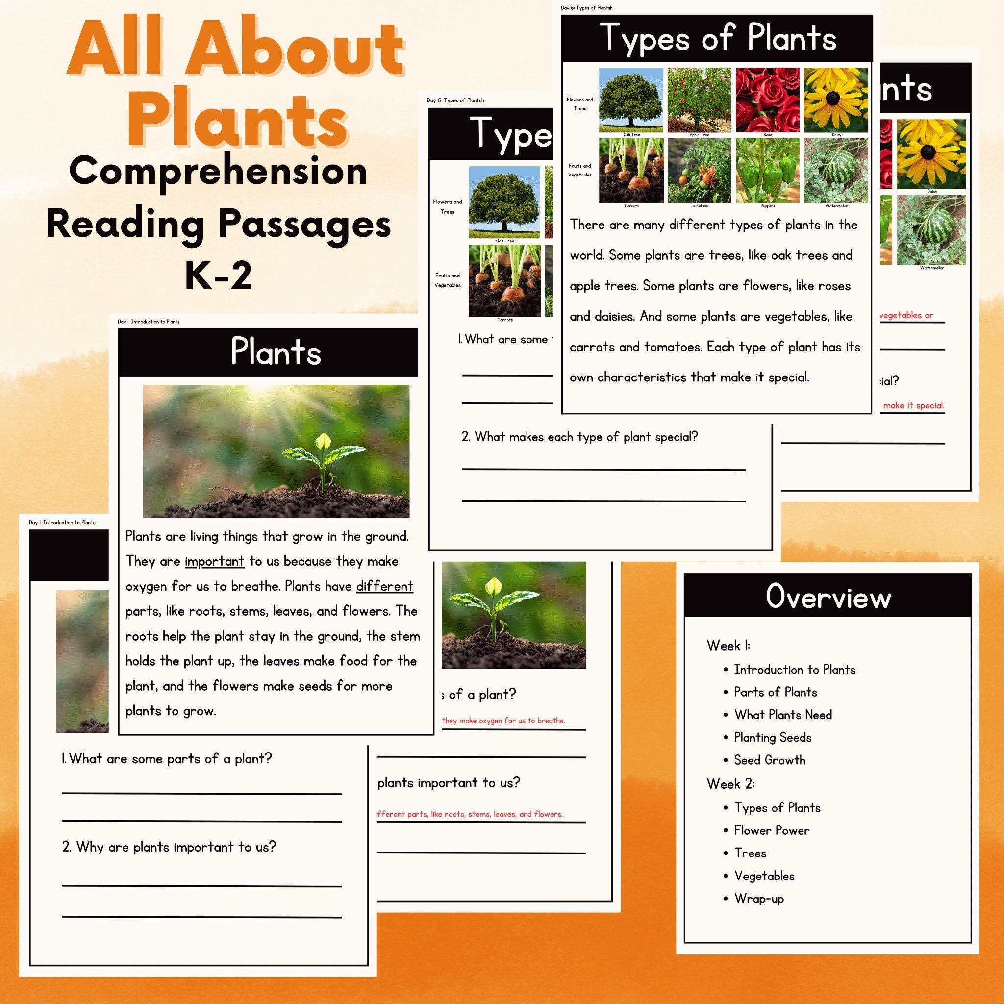 No Prep Comprehension Reading Passages Spring Plant Lifecylcle All About Plants Digital Download Classroom Homeschool Intervention Etsy