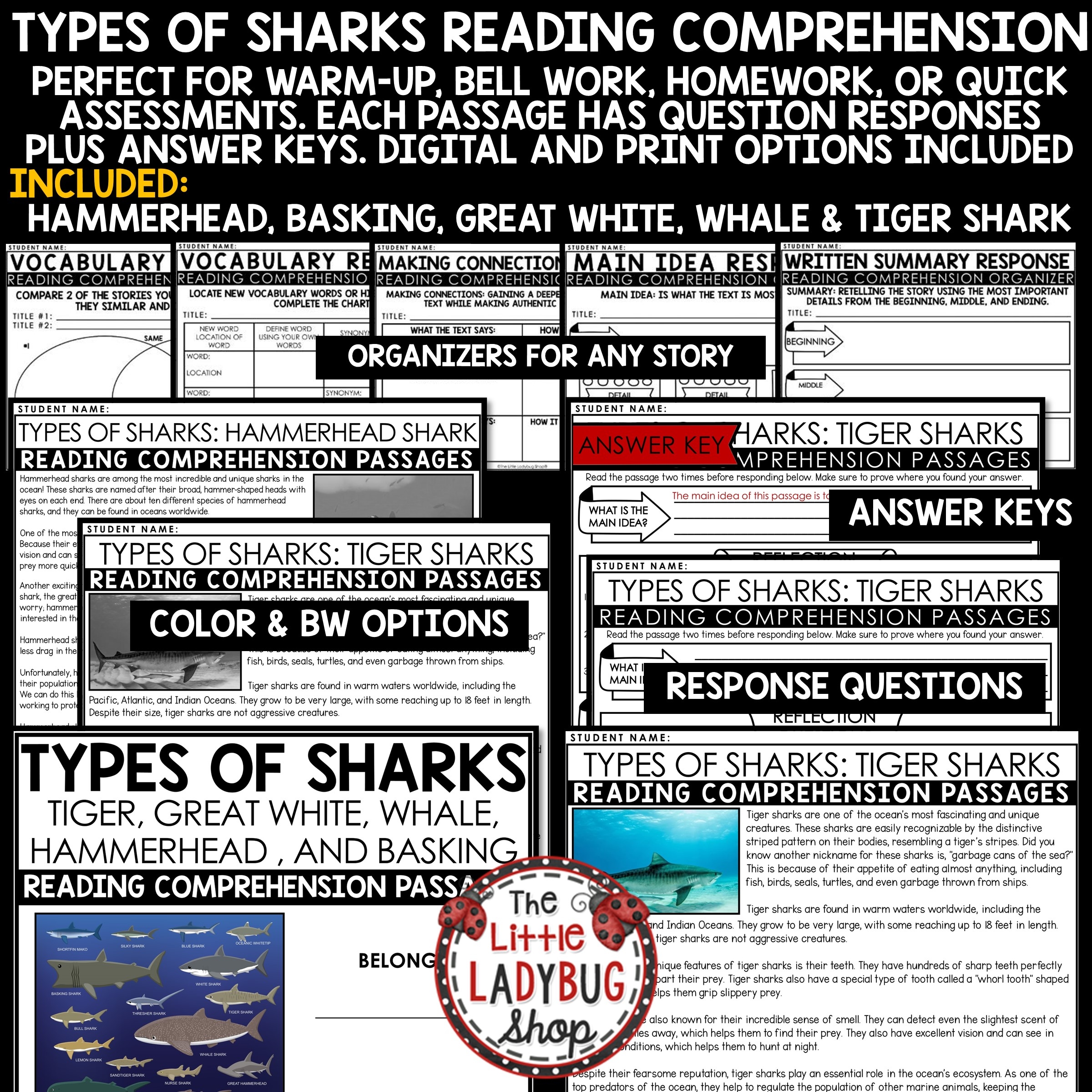Ocean Animals Sharks Reading Passages The Little Ladybug Shop