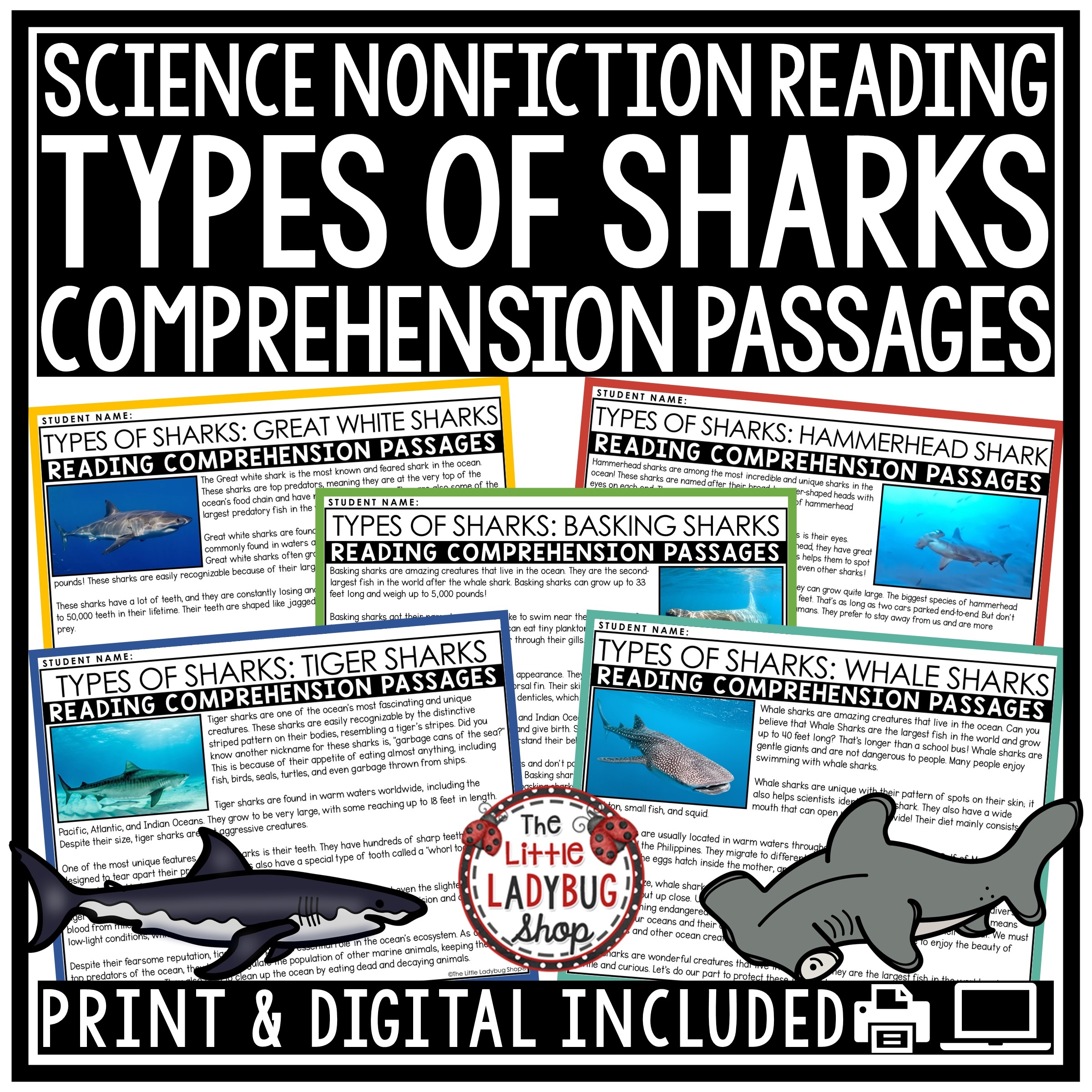 Ocean Animals Sharks Reading Passages The Little Ladybug Shop
