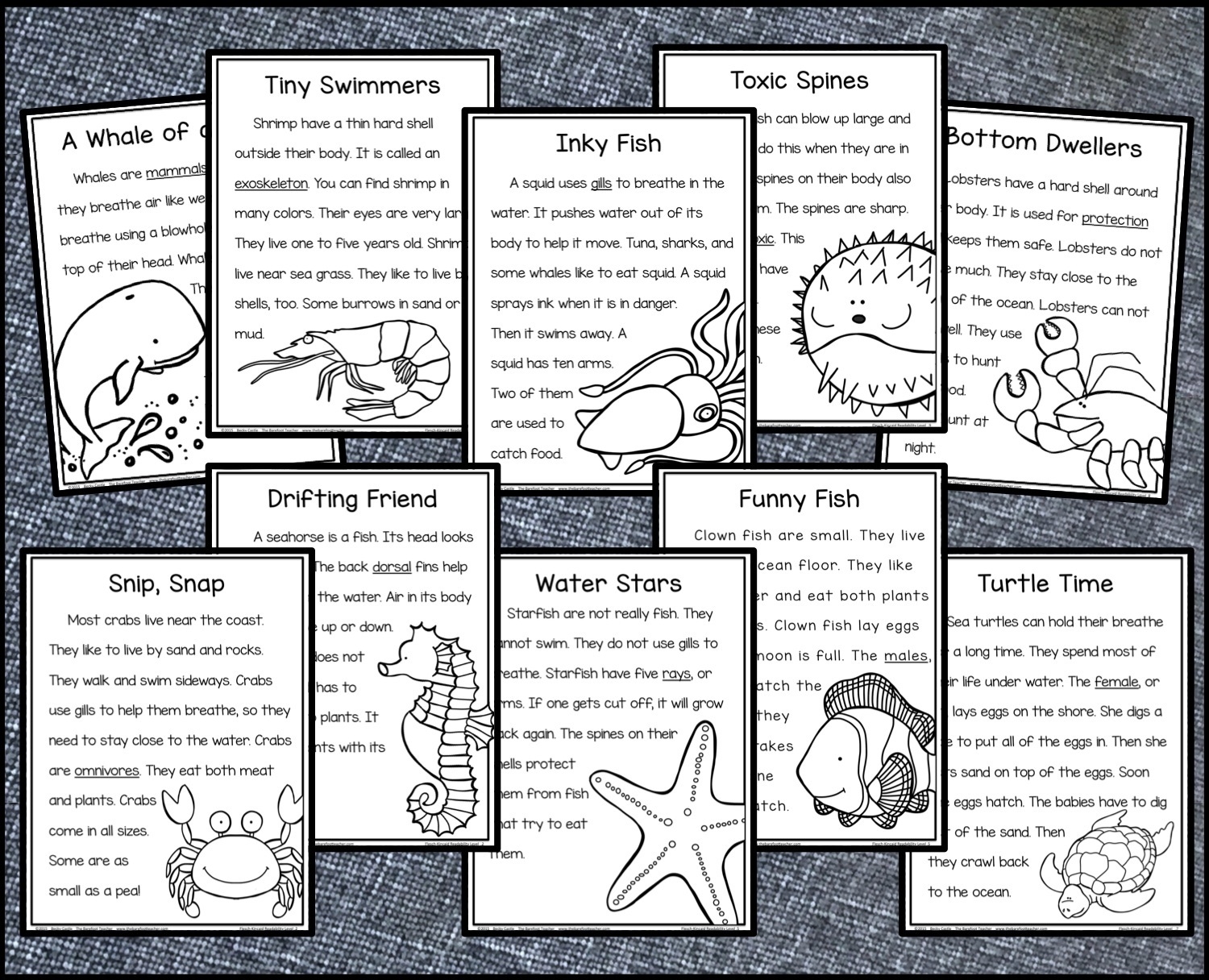 Ocean Themed Reading Comprehension Pack Plus A FREE DOWNLOAD The 