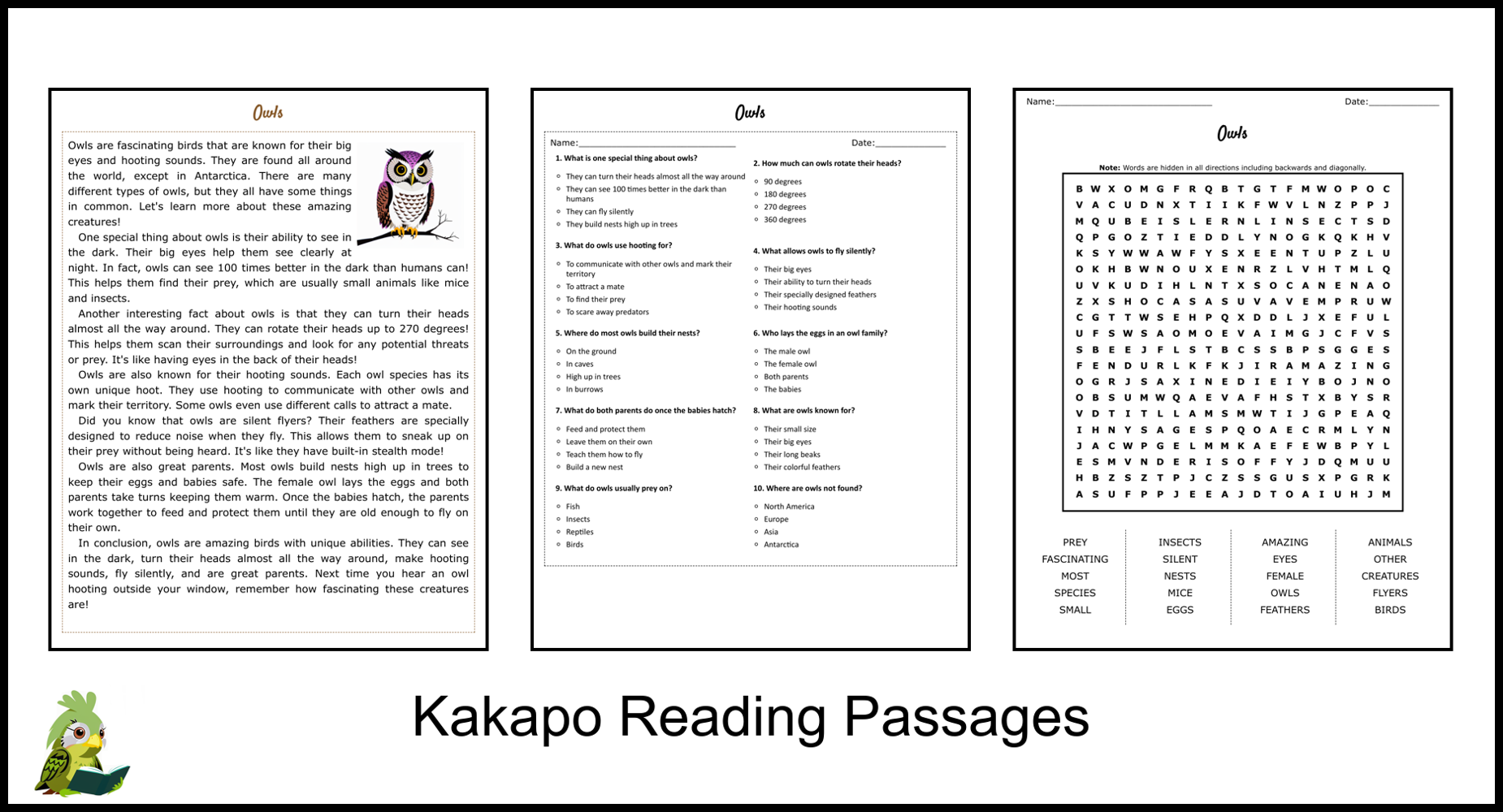 Owls Reading Comprehension And Word Search Teaching Resources