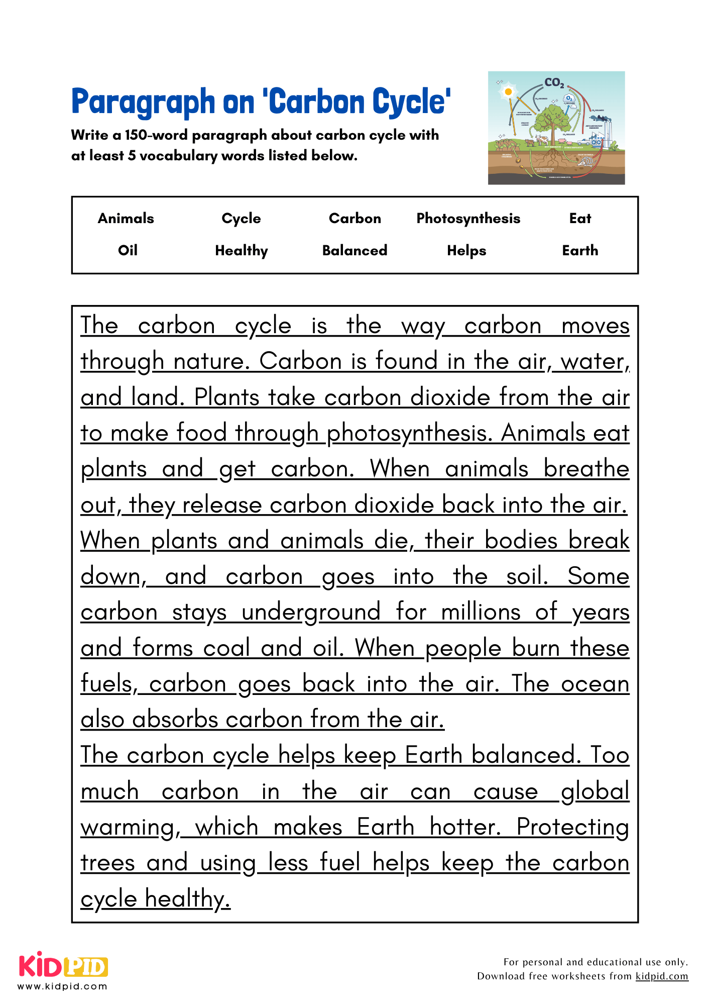 Carbon Cycle Reading Comprehension Worksheet
