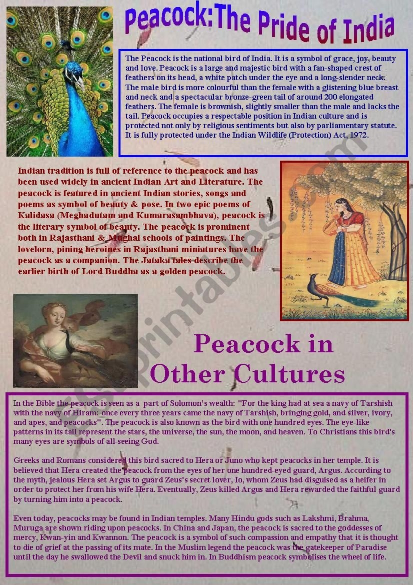 Peacock The Pride Of India ESL Worksheet By Ananthajyothi