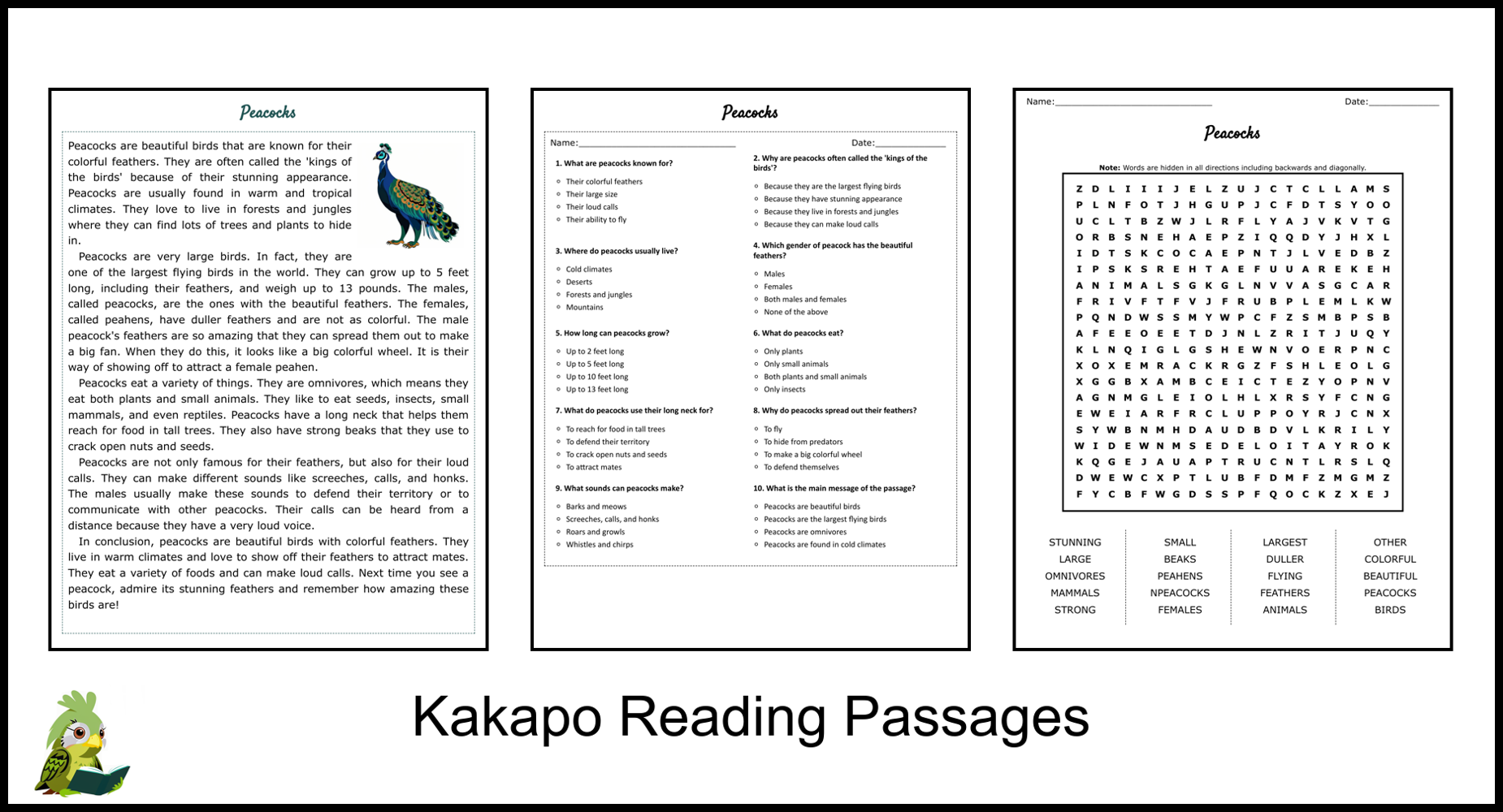 Peacocks Reading Comprehension And Word Search Teaching Resources