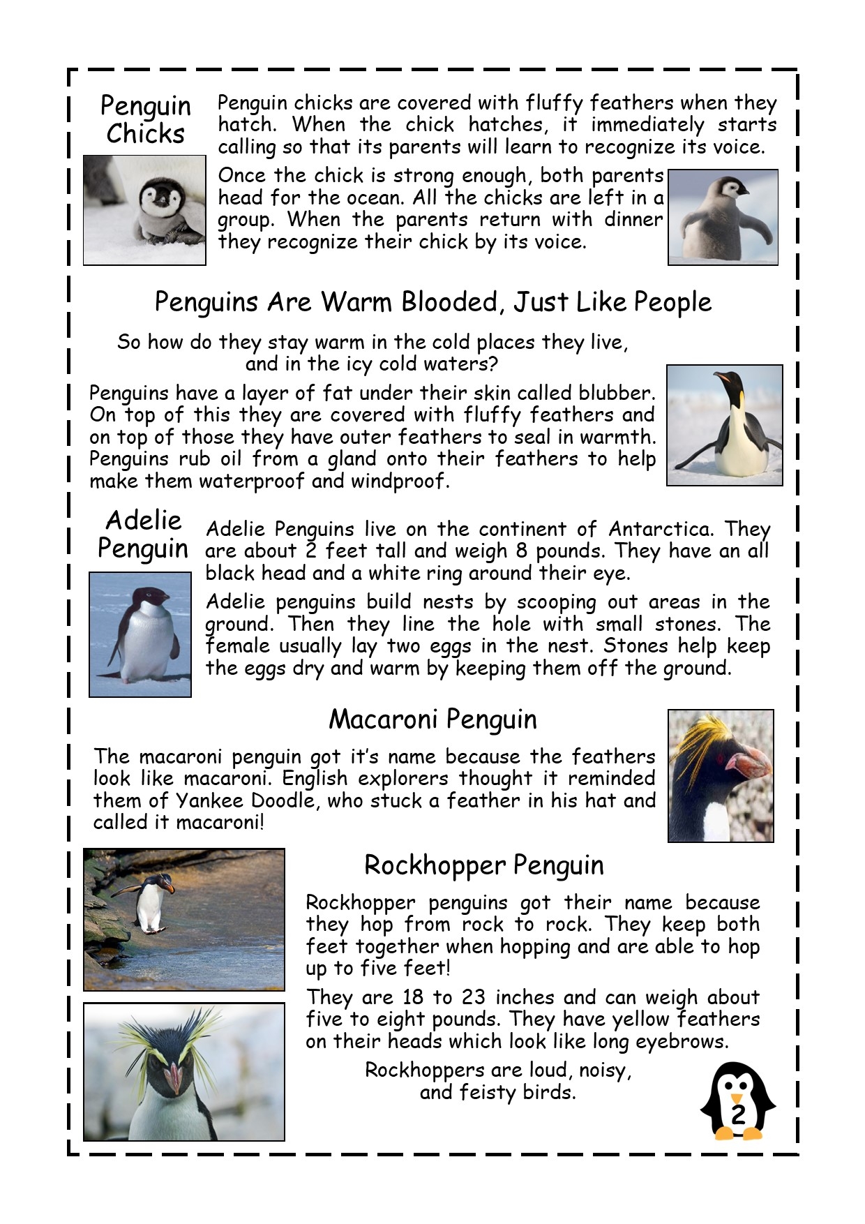 Penguin Facts Reading Comprehension Passage Made By Teachers
