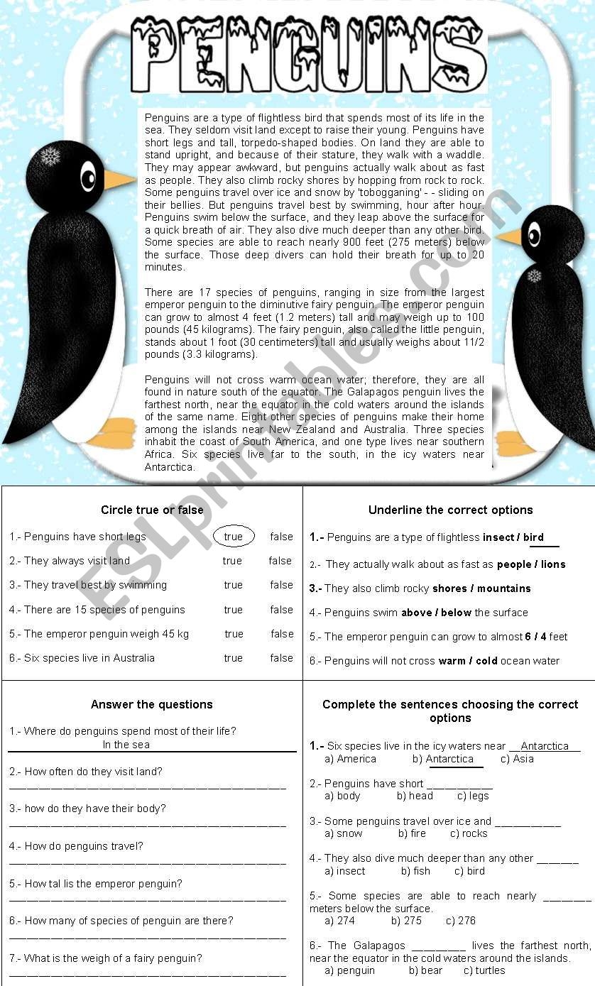 PENGUINS READING COMPREHENSION 4 DIFFERENT ACTIVITIES ESL Worksheet By Lupiscasu