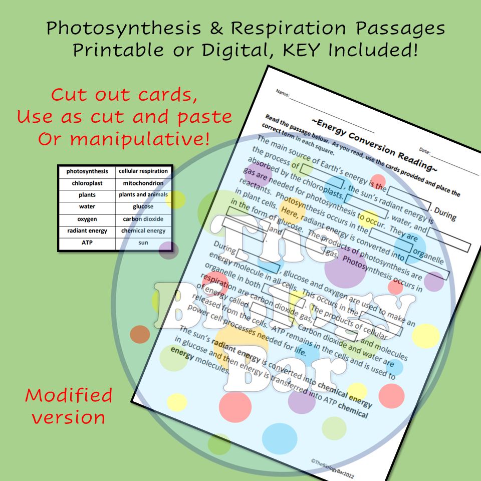 Cellular Respiration Reading Comprehension Worksheet