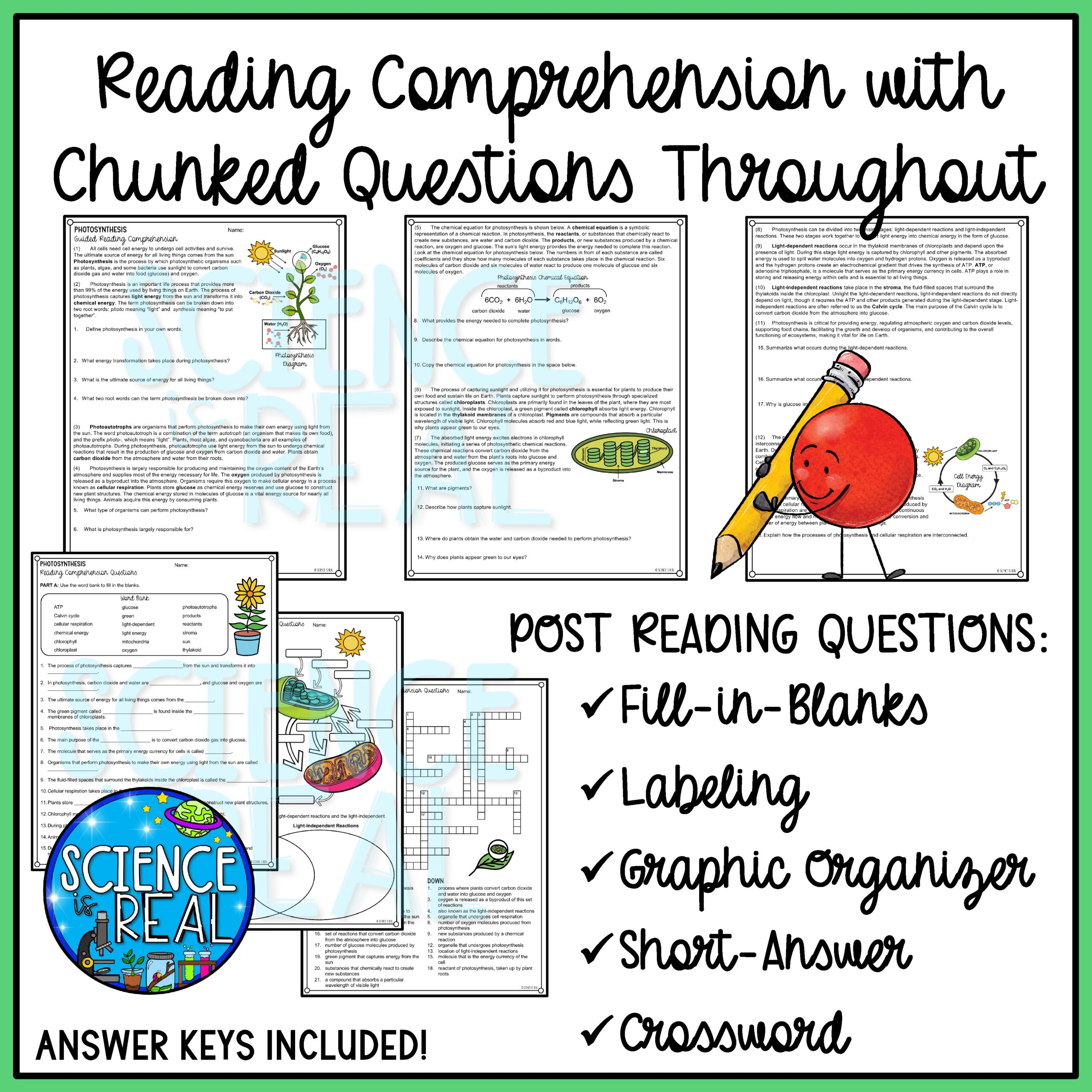 Photosynthesis Reading Comprehension And Activities Classful
