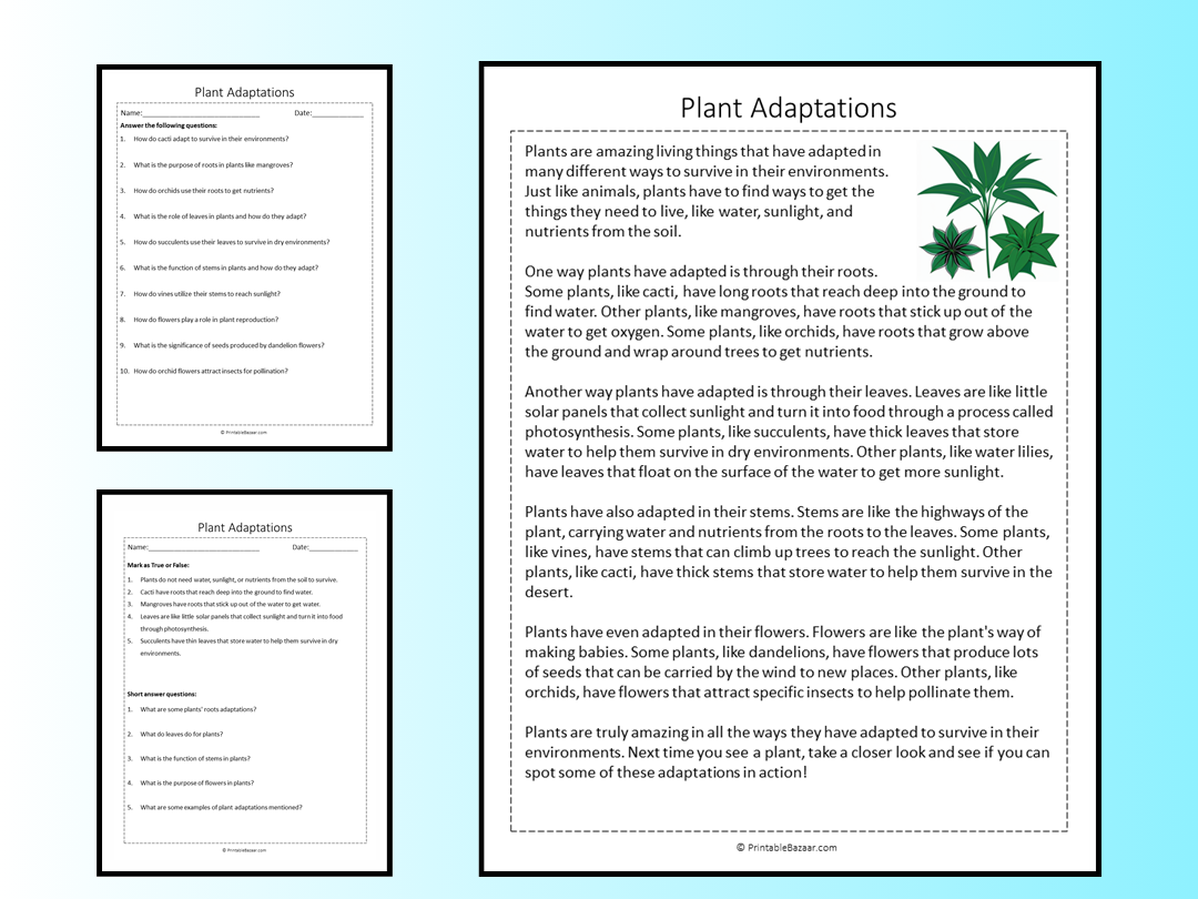 Plant Adaptations Reading Comprehension Passage Printable Worksheet Teaching Resources
