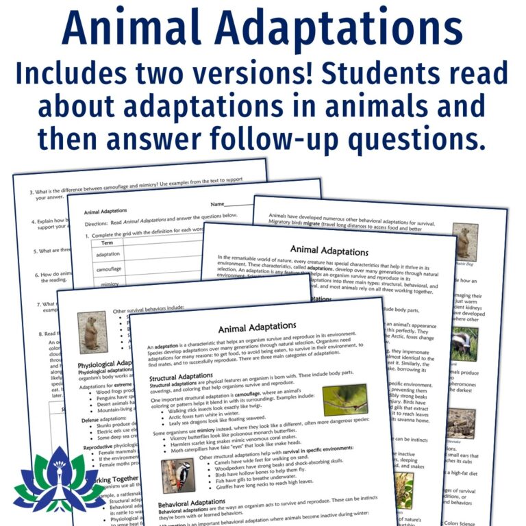 Plant And Animal Adaptations Reading And Worksheet Flying Colors 