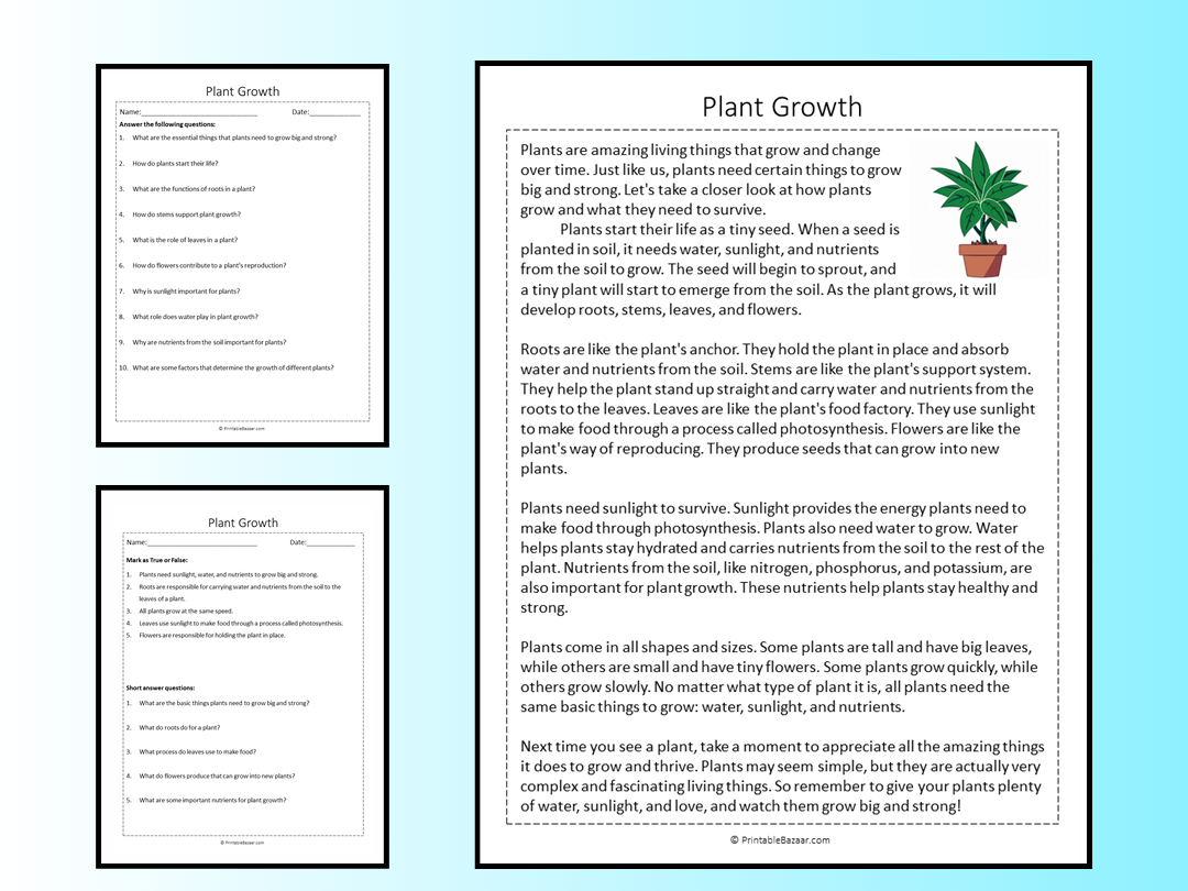 Plant Growth Reading Comprehension Passage Printable Worksheet Teaching Resources