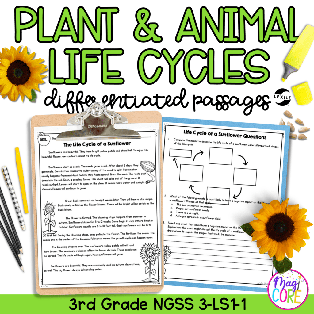 Plant Life Cycle Reading Comprehension Worksheet