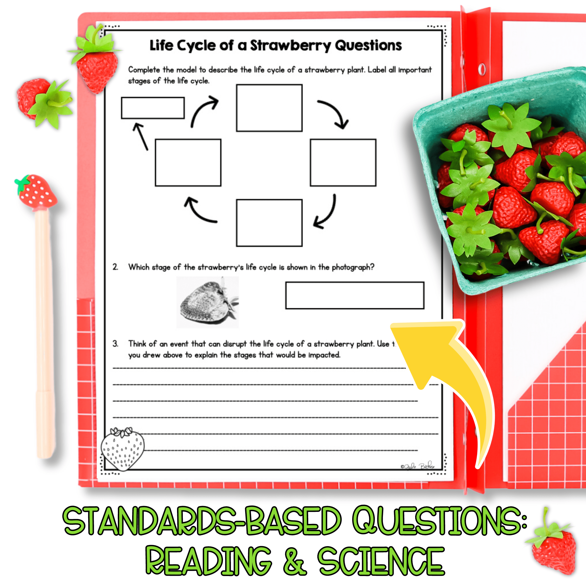 Plant U0026 Animal Life Cycles NGSS 3 LS1 1 Science Differentiated Reading Passages