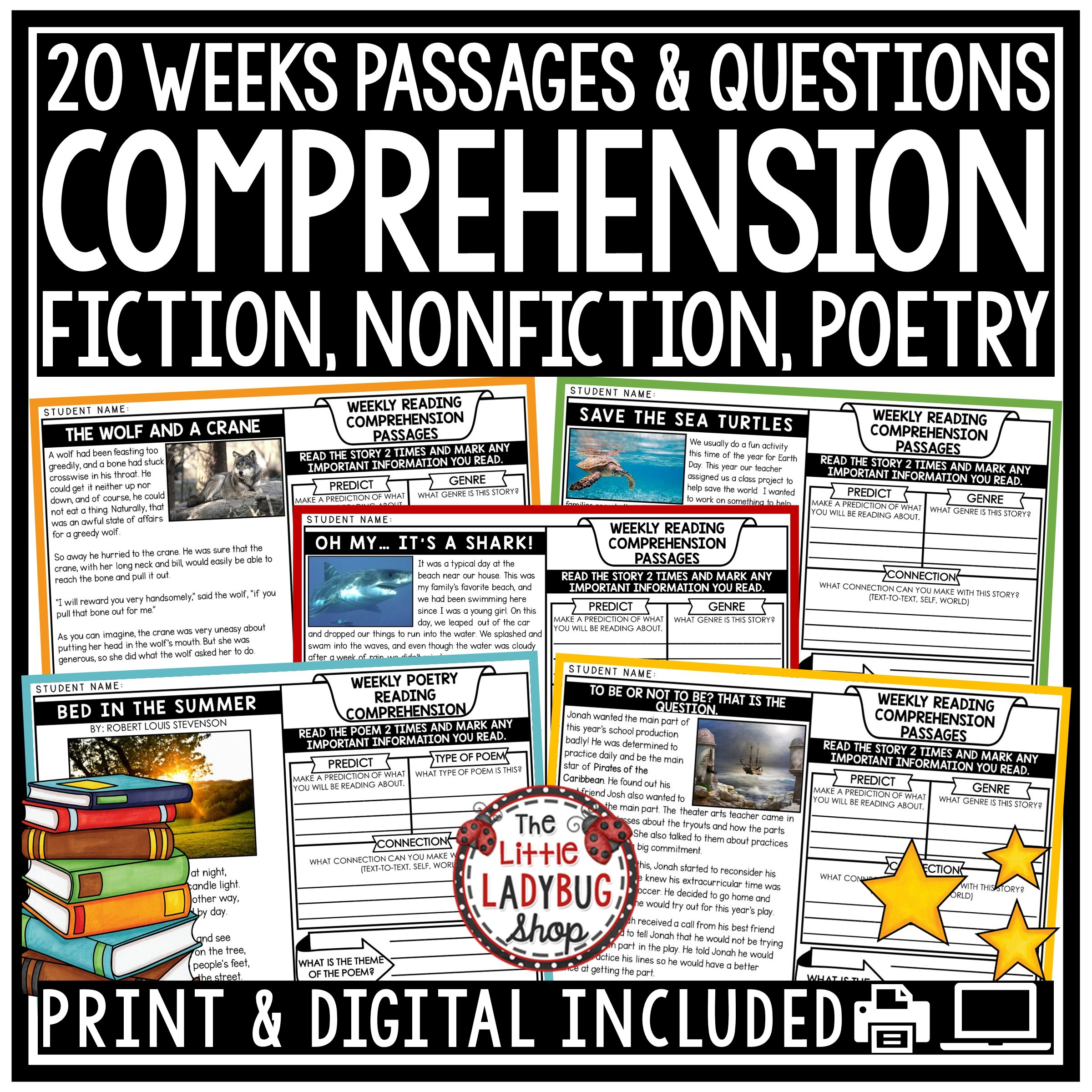Poetry Nonfiction Reading Comprehension Passages 3rd 4th Grade The Little Ladybug Shop