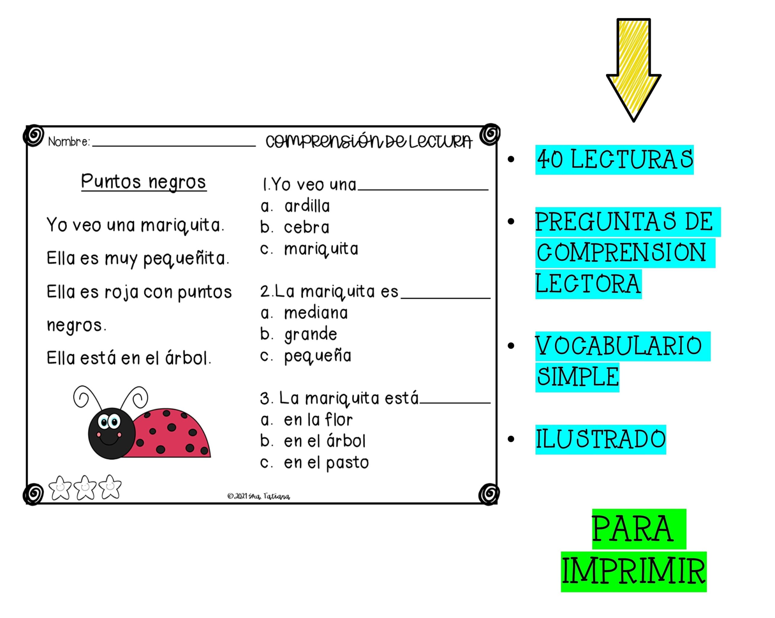 Printable Reading Comprehension Comprension De Lectura Nivel Inicial Spanish For Kids Kids Learning Spanish Digital Download Etsy