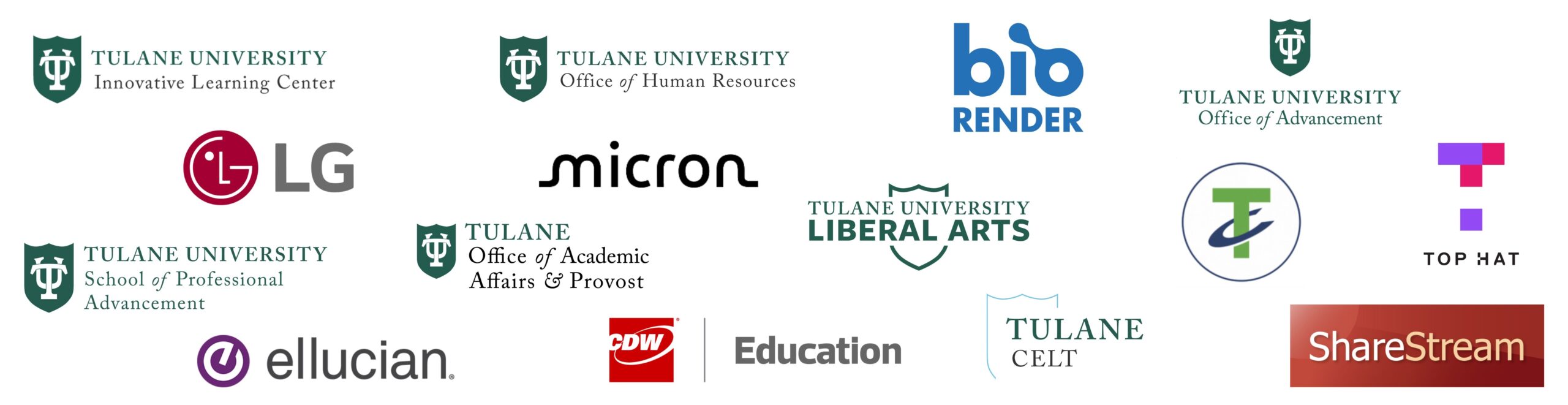 Tulane University Information Reading Comprehension Worksheet