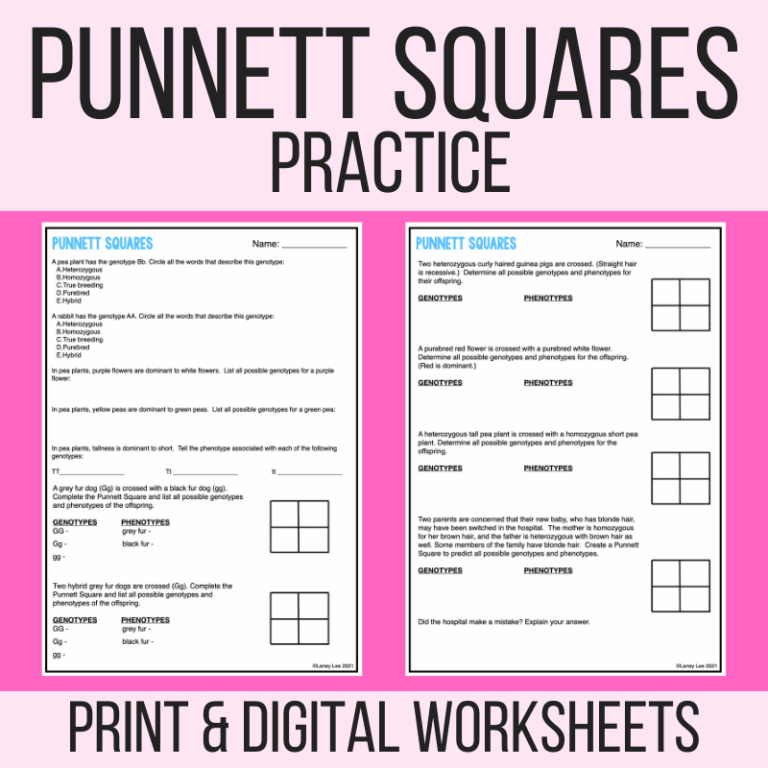 Punnett Square Practice Or Quiz PDF With Answer Key Laney Lee