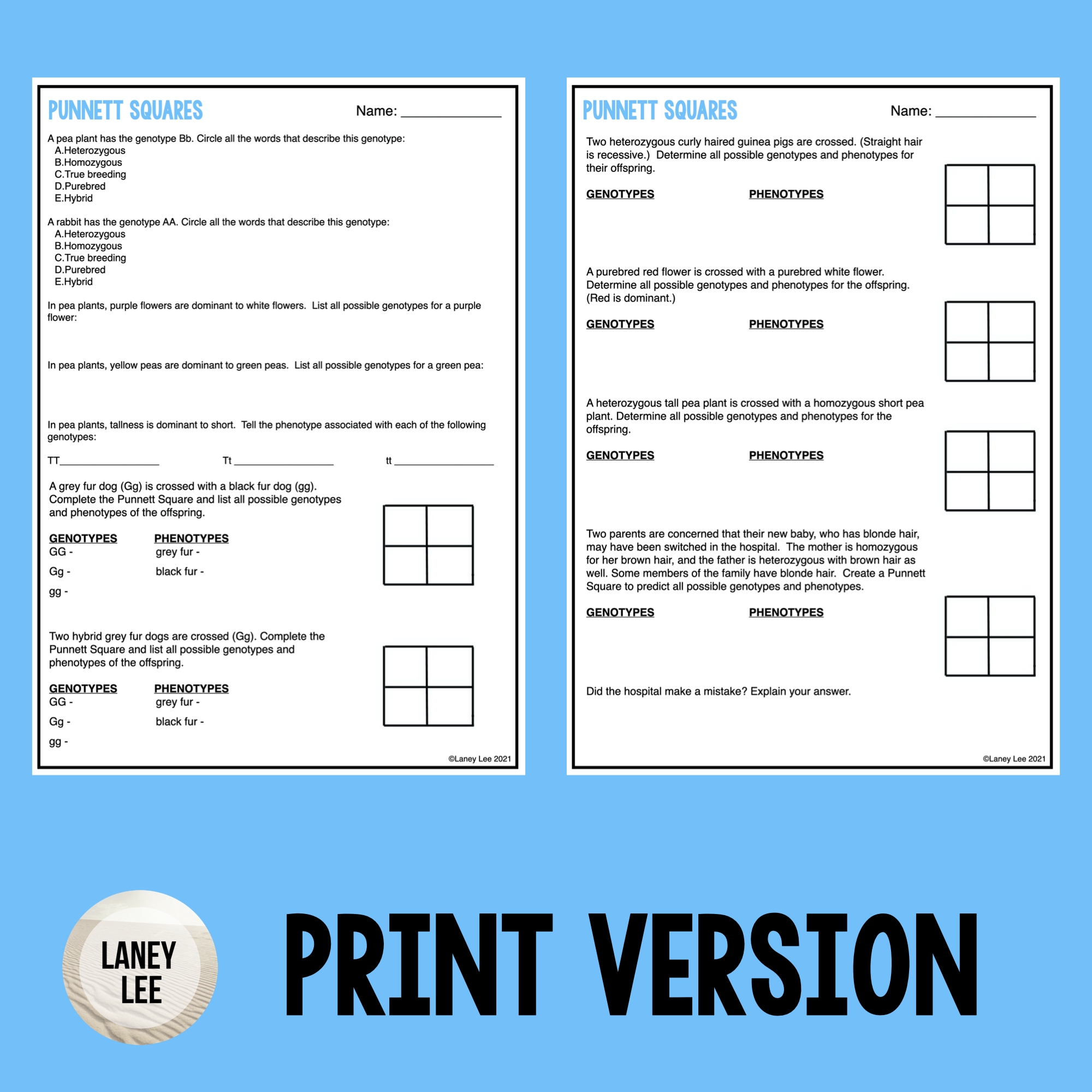 Punnett Square Practice Or Quiz PDF With Answer Key Laney Lee