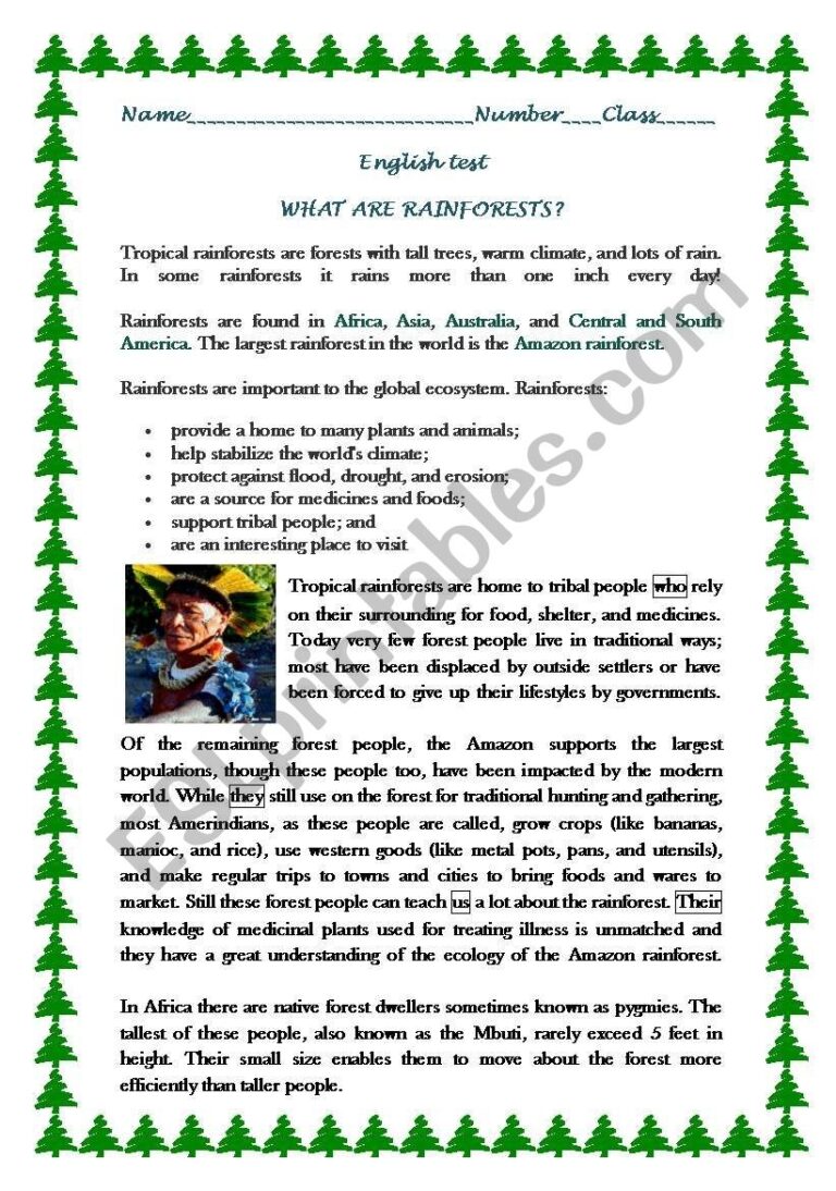 RAINFORESTS READING COMPREHENSION ESL Worksheet By 1961Anucha