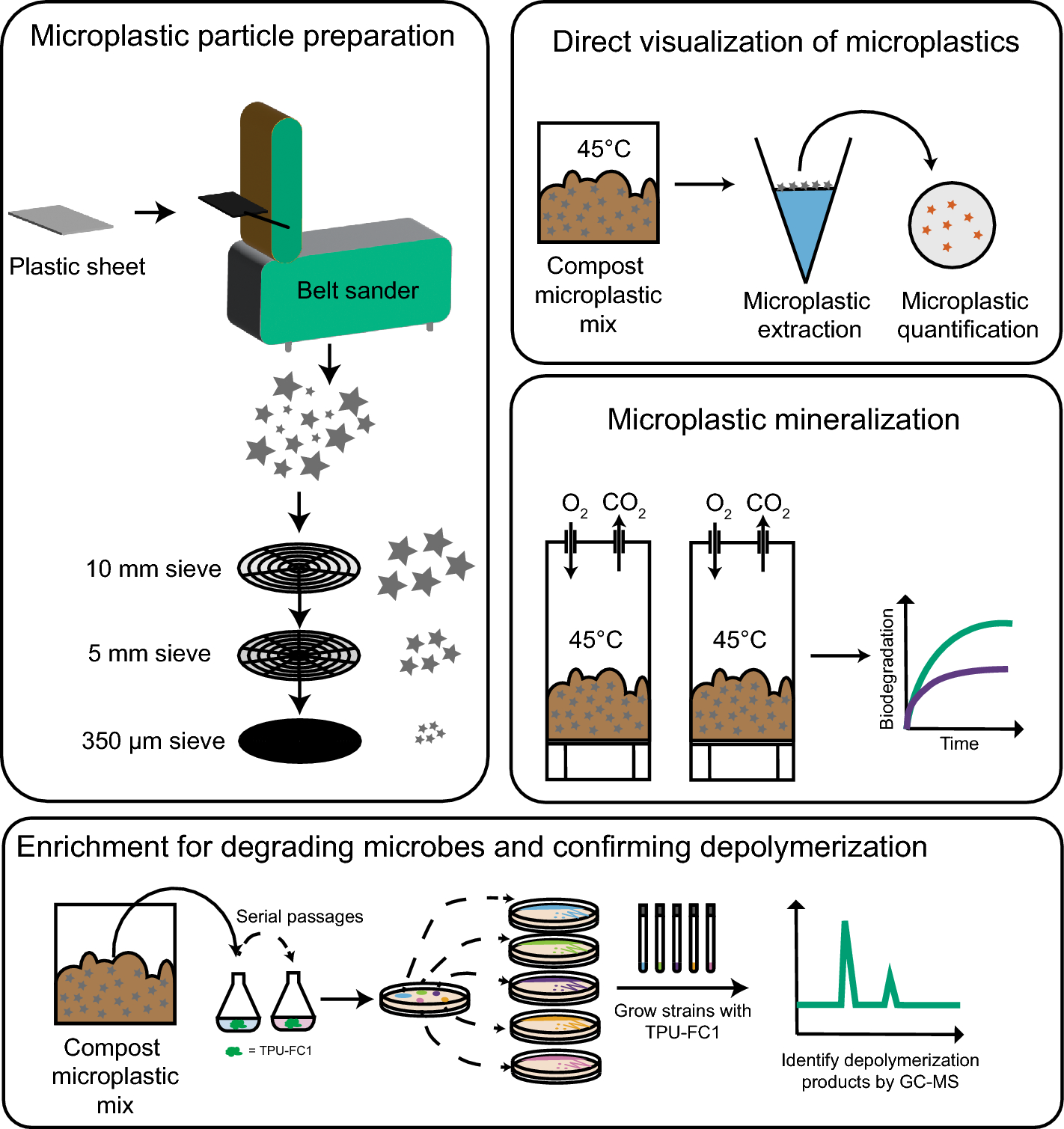 Rapid Biodegradation Of Microplastics Generated From Bio based Thermoplastic Polyurethane Scientific Reports
