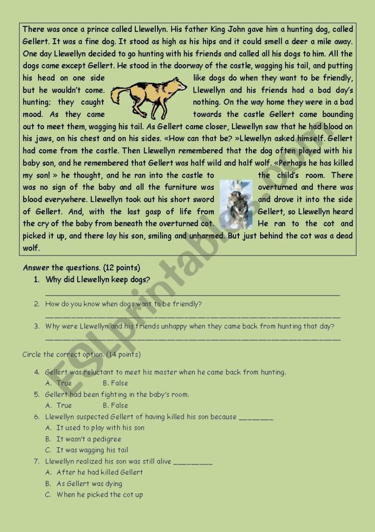Reading Comprehension A2 ESL Worksheet By Stefaniapascolini