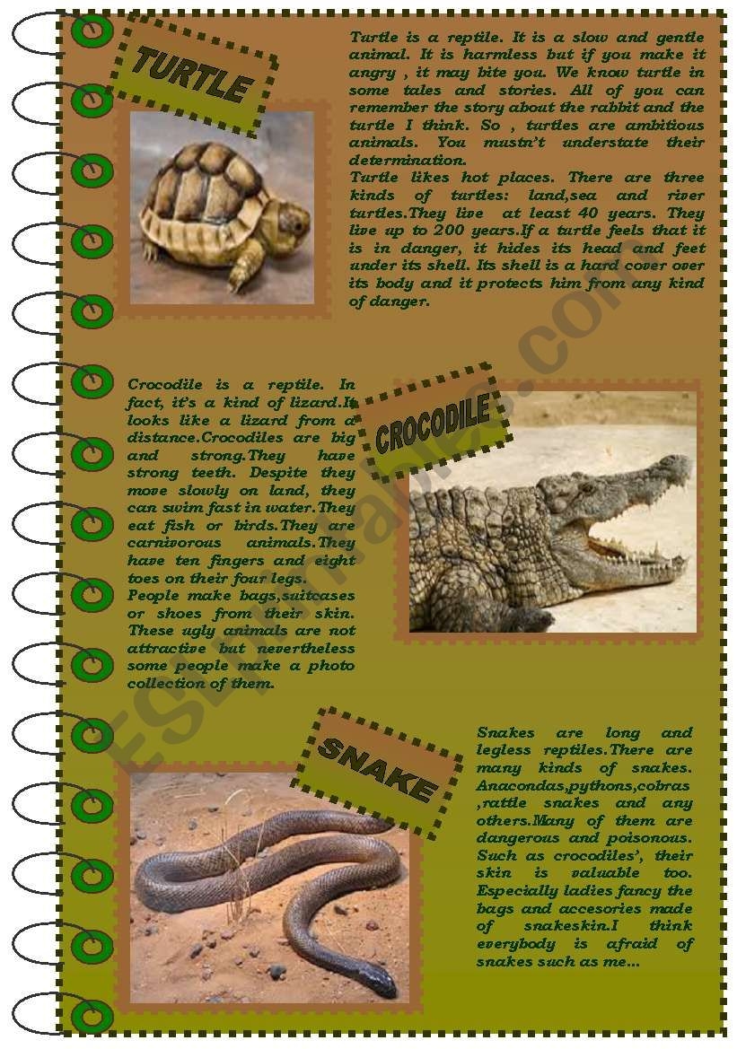 READING COMPREHENSION About Reptiles version 1 ESL Worksheet 
