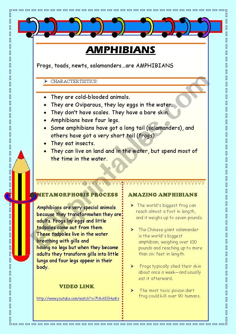 Amphibians Reading Comprehension Worksheets