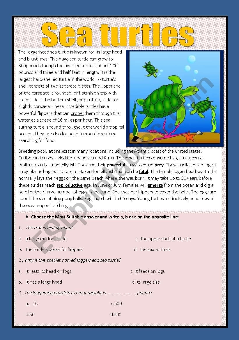 Reading Comprehension Animals ESL Worksheet By Aaisha86