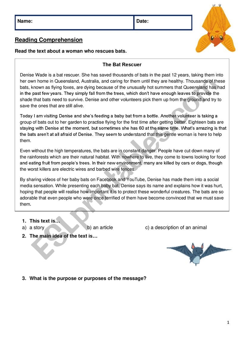 Bat Reading Comprehension Worksheet