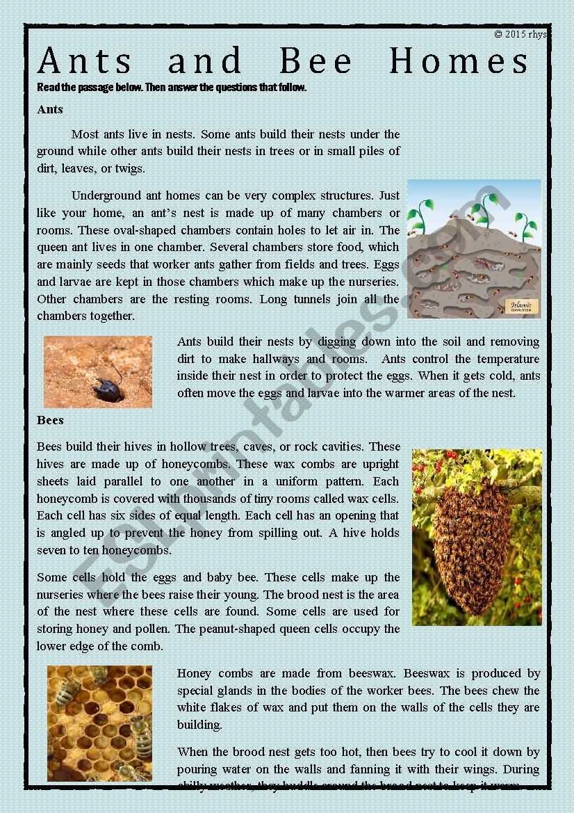 Comparison Reading Comprehension Worksheets