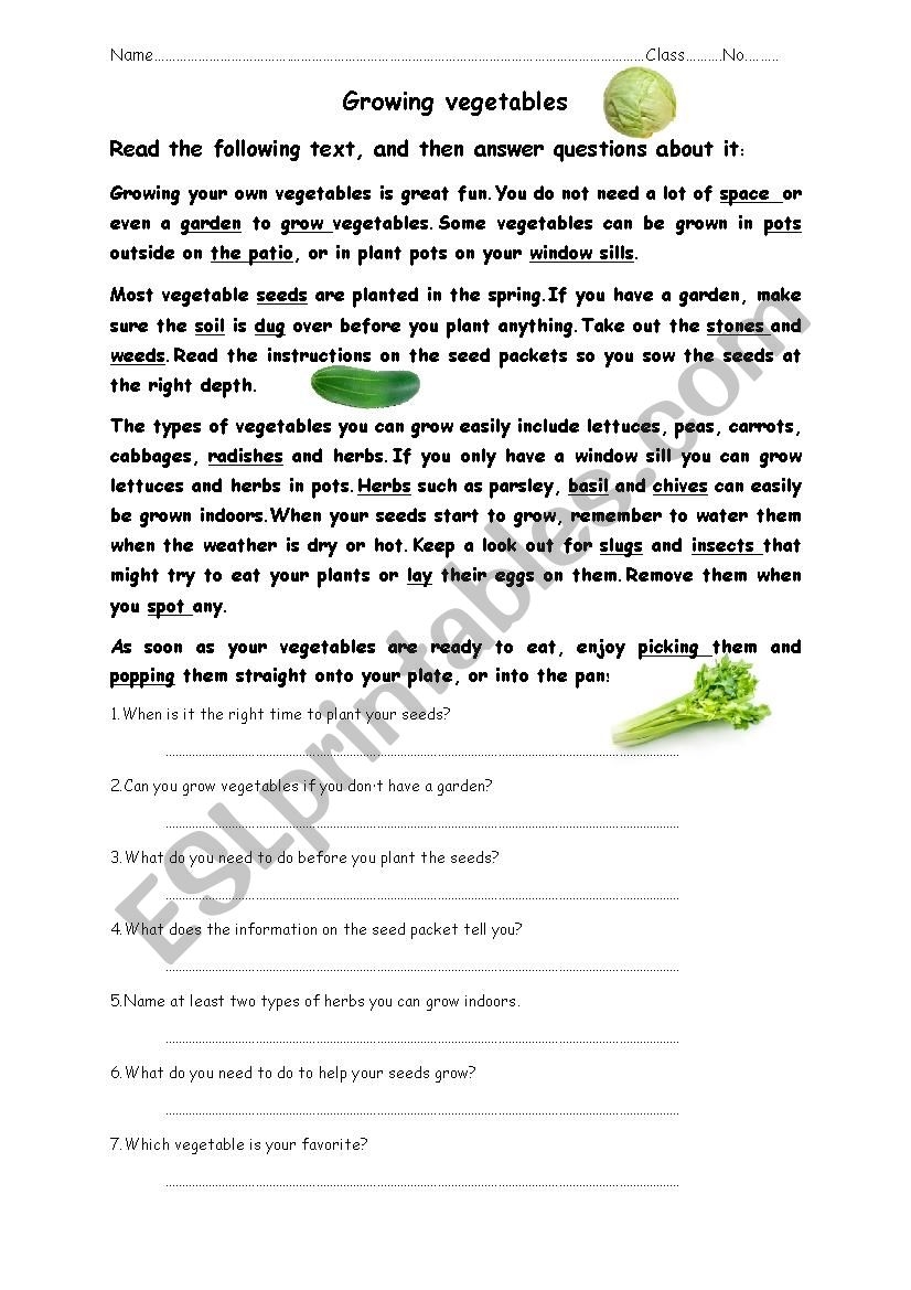 Reading Comprehension ESL Worksheet By Warawat