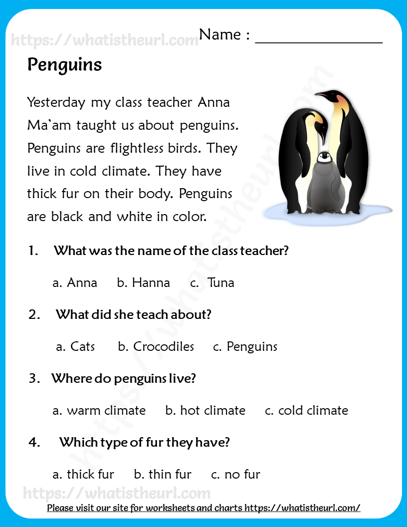 Reading Comprehension For Grade 3 Your Home Teacher
