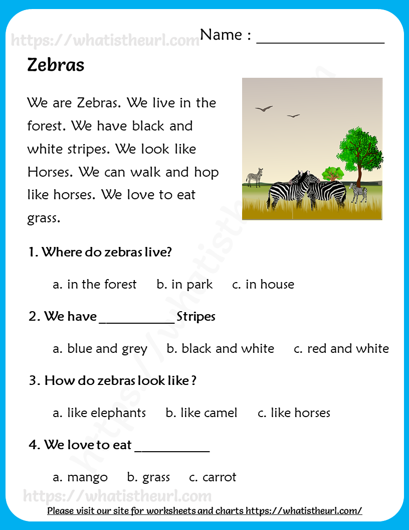 Reading Comprehension For Grade 3 Your Home Teacher