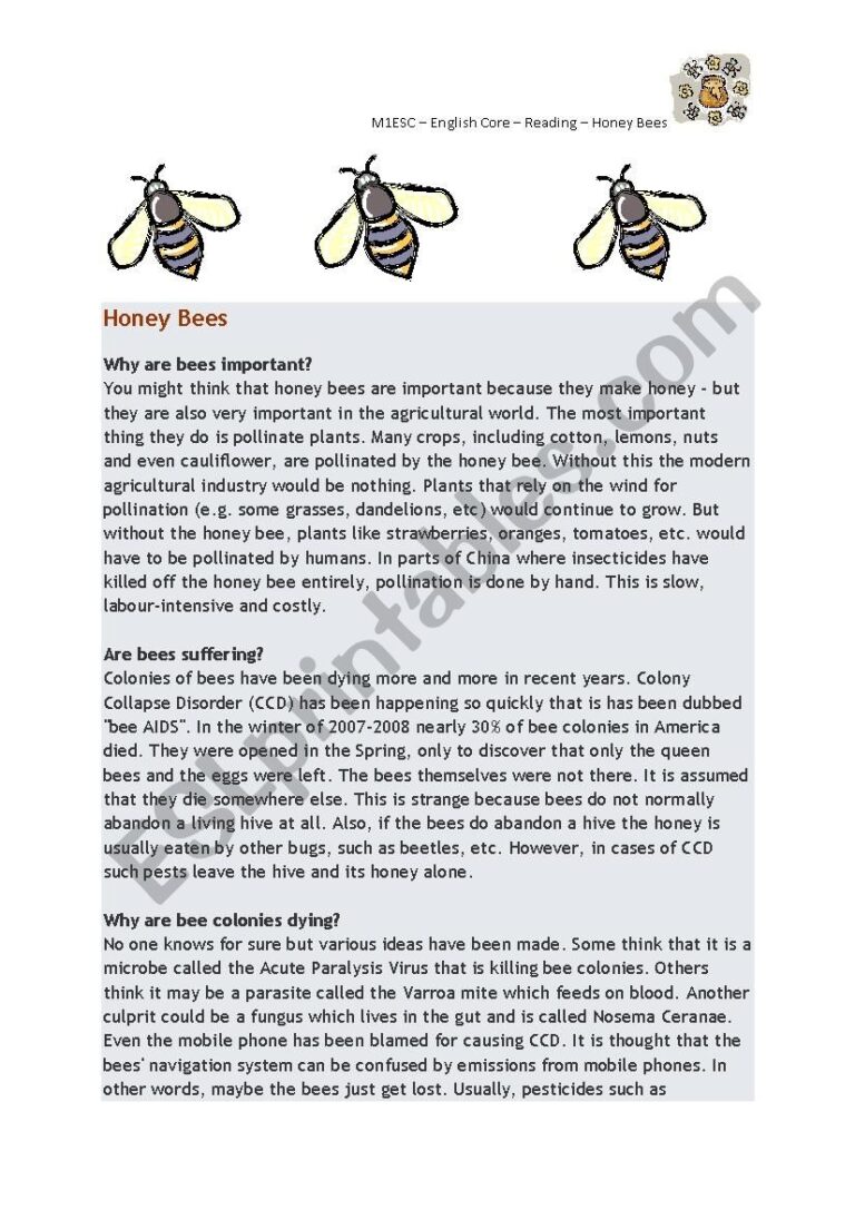 Reading Comprehension Honey Bees ESL Worksheet By Lynz0175