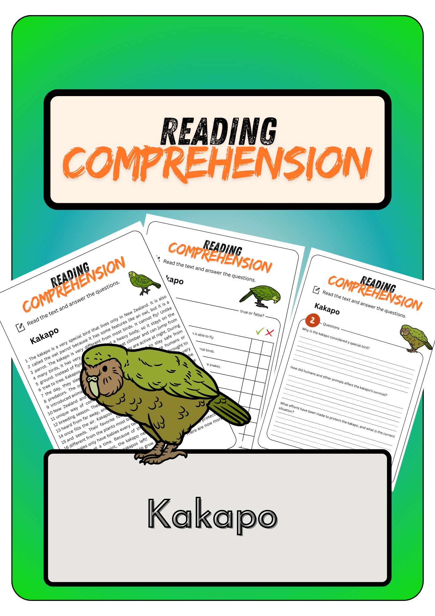 Year 9 Reading Comprehension Worksheets Nz