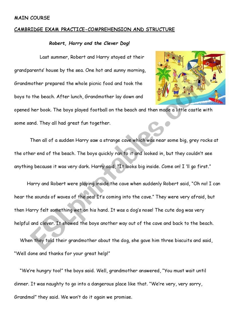 Reading Comprehension Literature ESL Worksheet By Seloshh