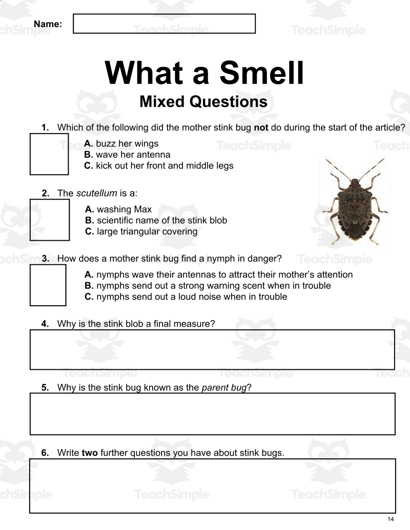 Insect Reading Comprehension Worksheets Pdf