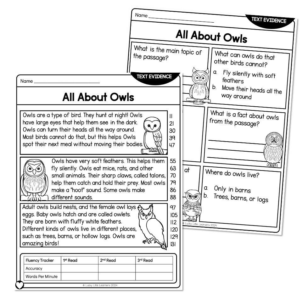 Reading Comprehension Passage Nonfiction Text Evidence All About Owls At Lucky Little Learners