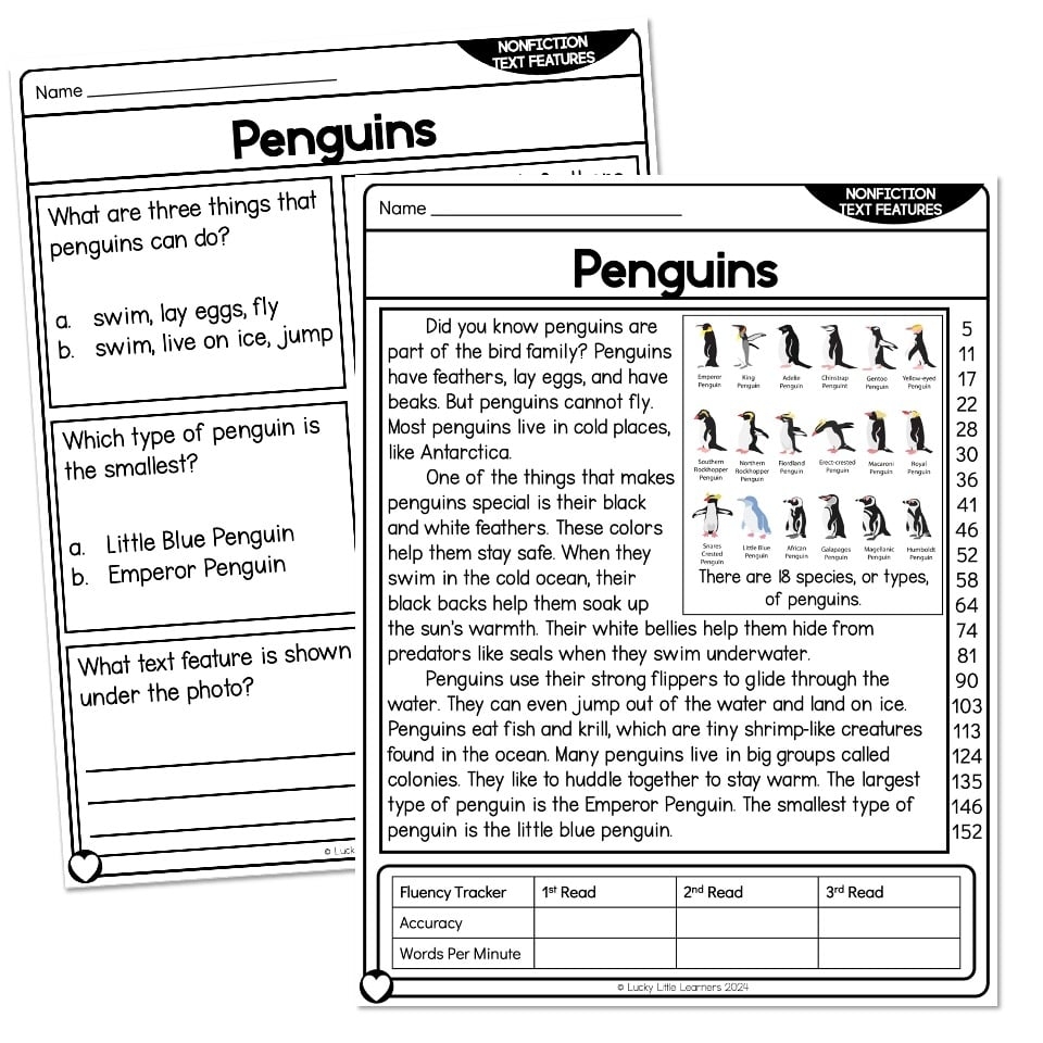 Nonfiction Reading Comprehension Worksheets Grade 1