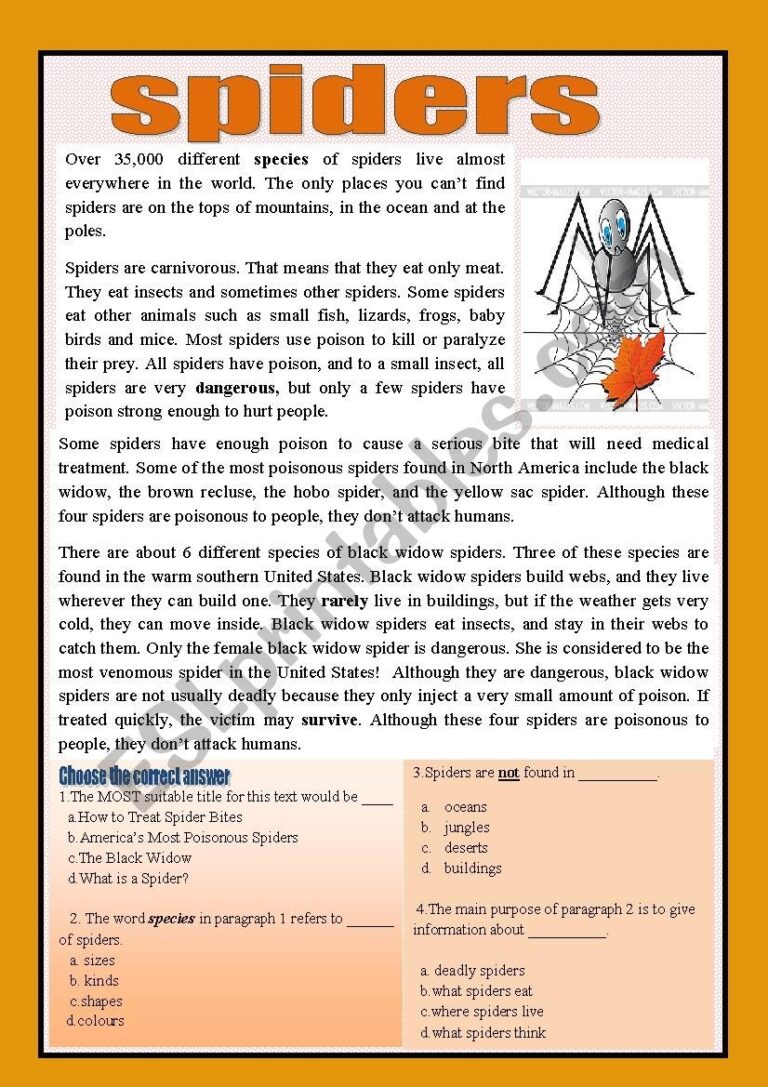 Reading Comprehension spiders ESL Worksheet By Aaisha86