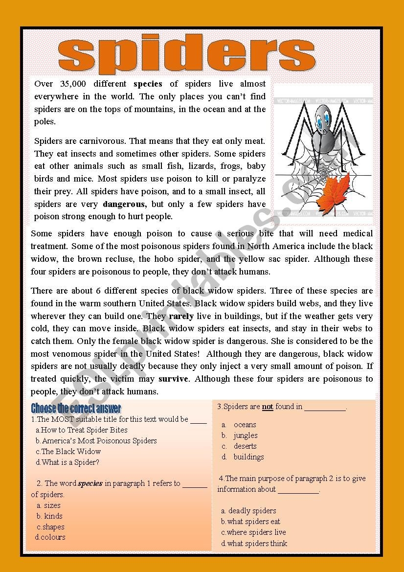 Reading Comprehension spiders ESL Worksheet By Aaisha86