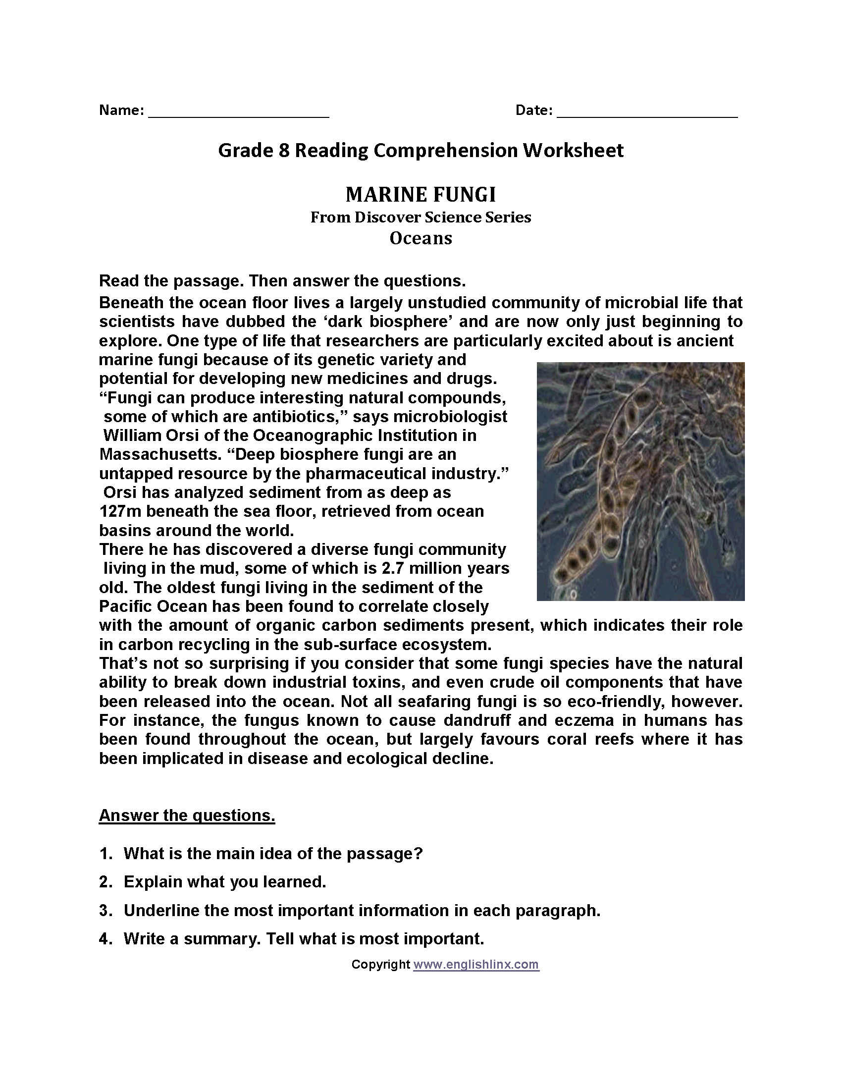 Reading Worksheets Eighth Grade Reading Worksheets