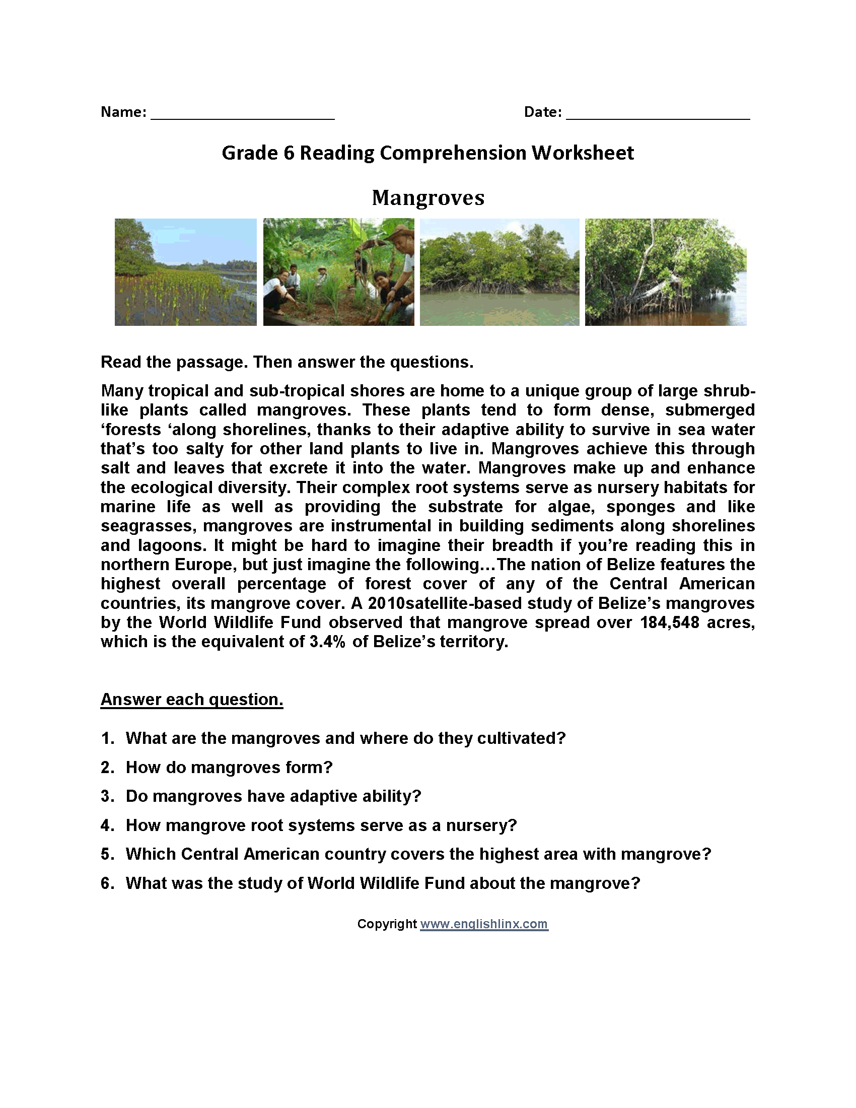 Short Reading Comprehension Worksheets 6th Grade