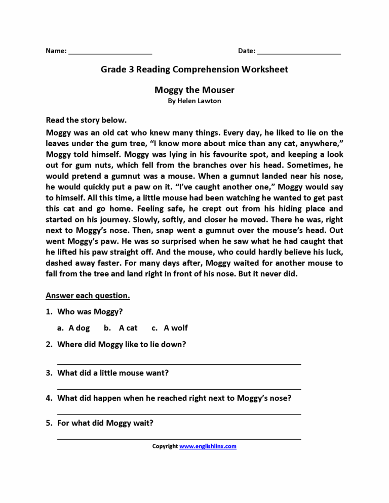 Reading Worksheets Third Grade Reading Worksheets